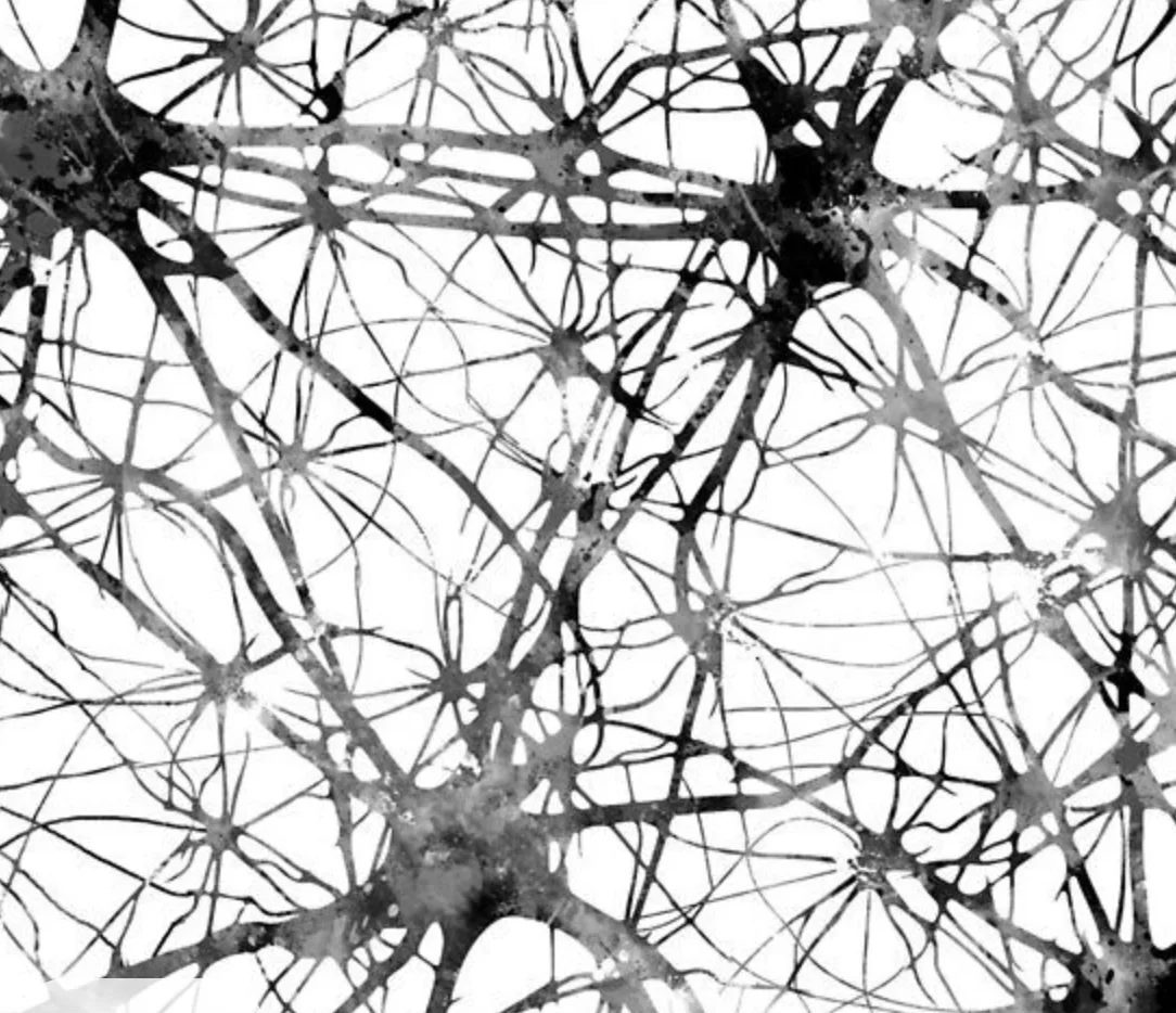 Neural Networks